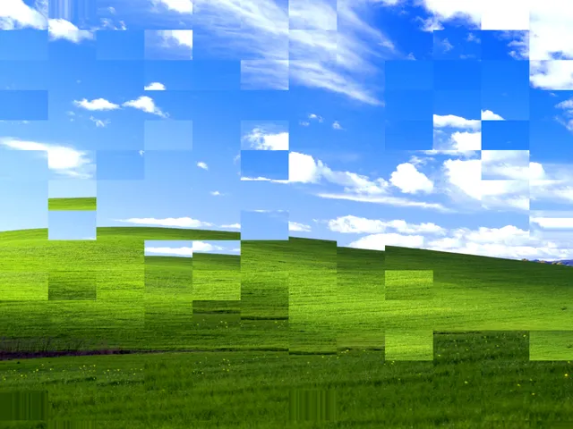 Image preview broken into displaced rectangular patches.