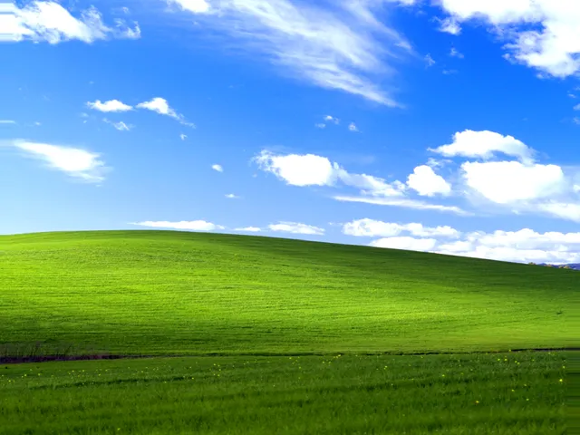 Image preview sheared sideways around a tear position.