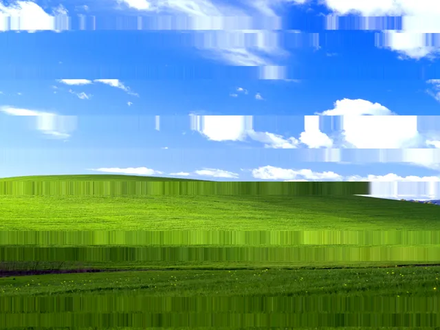 Image preview with horizontal bands repeating a single source row.
